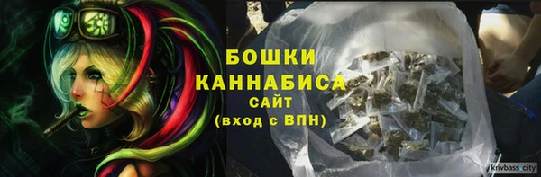 мдпв Корсаков