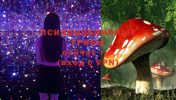 соль курить ск Коряжма