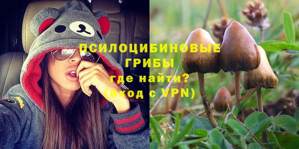 мдпв Корсаков
