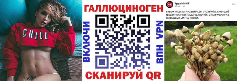 Галлюциногенные грибы Cubensis  Холм 