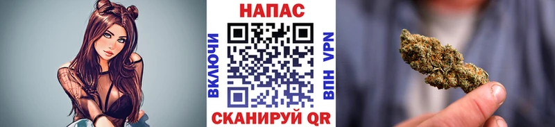 Бошки Шишки план  Холм 